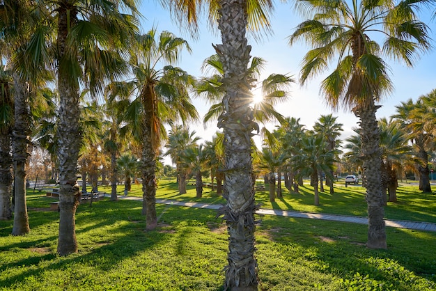 Playa El Pinar in Grao de Castellon