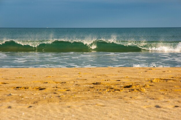 Foto playa de empuriabrava en costa brava girona españa