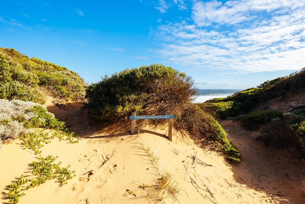 Playa Fingal como parte de la caminata costera de la península de Mornington en un cálido día de invierno cerca de la playa de Gunnamatta en Victoria Australia