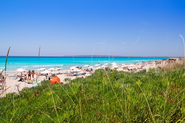 Playa Formentera migjorn Els Arenals en verano.