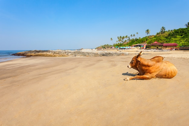 Playa en Goa, India