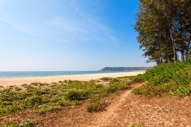 Foto playa en goa, india