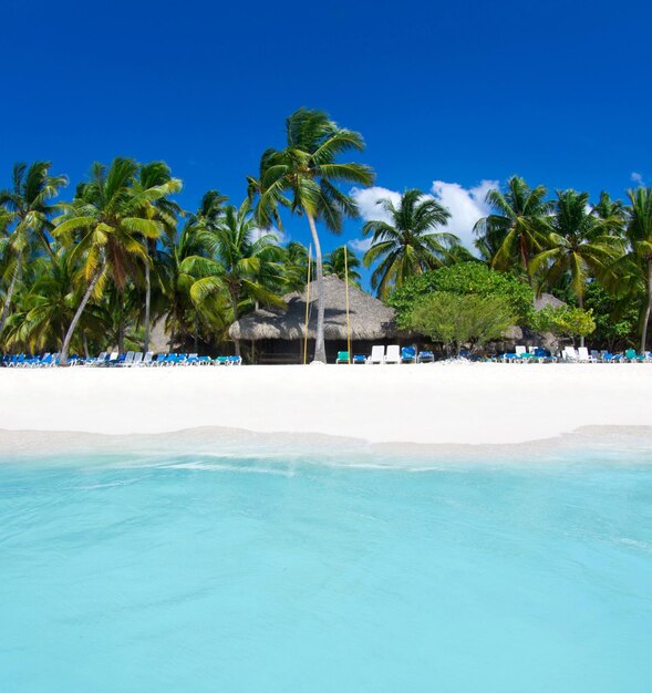 Playa y hermoso mar tropical Mar caribeño de verano con agua azul Nubes blancas en un cielo azul sobre el mar de verano Mar tropical relajarse