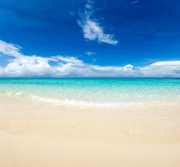 Playa y hermoso mar tropical