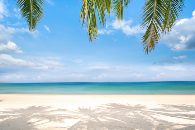 Playa y hojas de palmera en día de verano