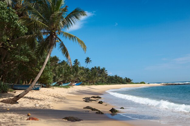 Playa idílica Sri Lanka