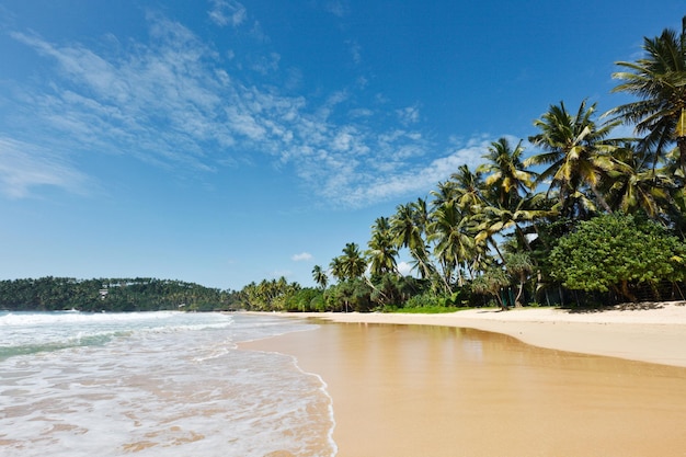 Playa idílica Sri Lanka