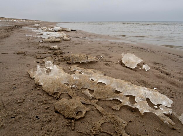 Playa de invierno en el Curonian Spit en tiempo nublado en Lituania