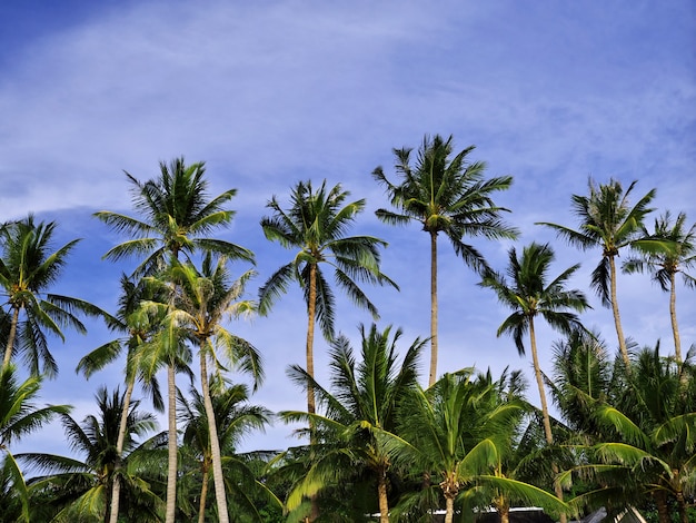 La playa en la isla de Boracay, Filipinas