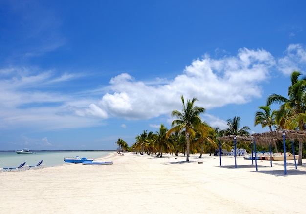 Playa de la isla de Cayo Blanco en el mar caribe, vacaciones de verano perfectas