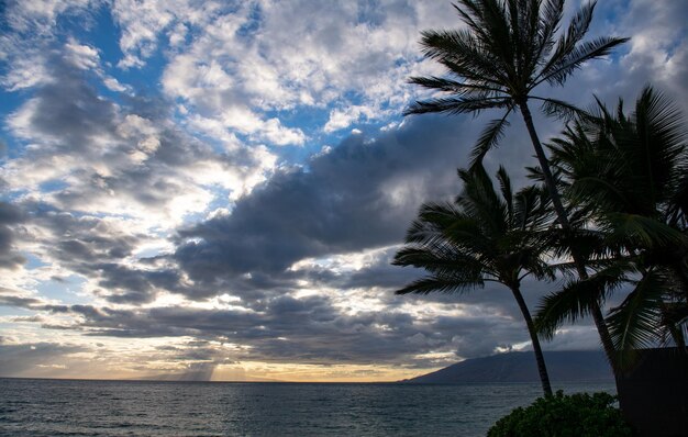 Playa en la isla de Maui, Aloha Hawaii.