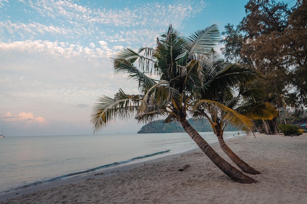 La playa de la isla temprano en la mañana