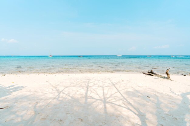 Playa en una isla tropical por la tarde