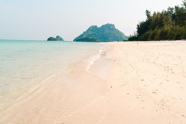 Playa en una isla tropical por la tarde