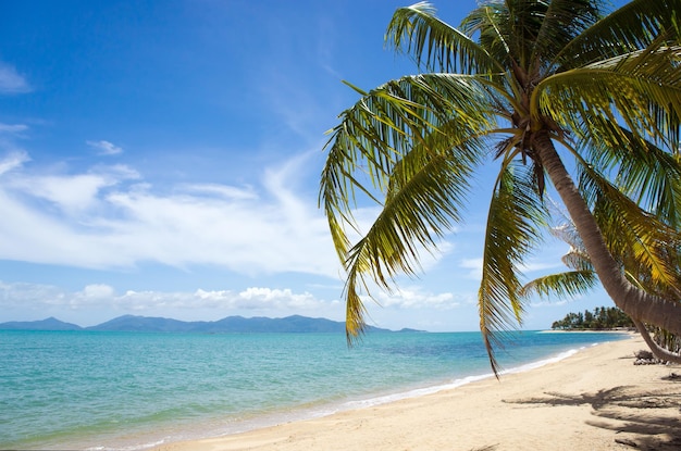 Playa de isla tropical