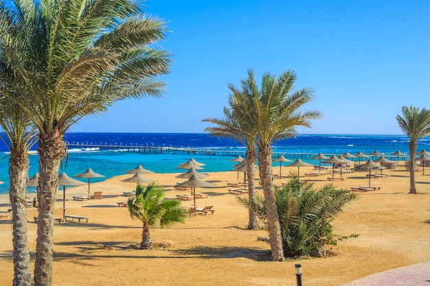 Foto playa junto al mar con sombrillas y un muelle para nadar mar rojo egipto