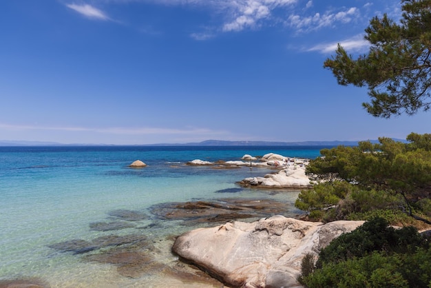 Playa Kavourotrypes en Sithonia con rocas redondas o planas con pinos, Sithonia, Halkidiki, Grecia