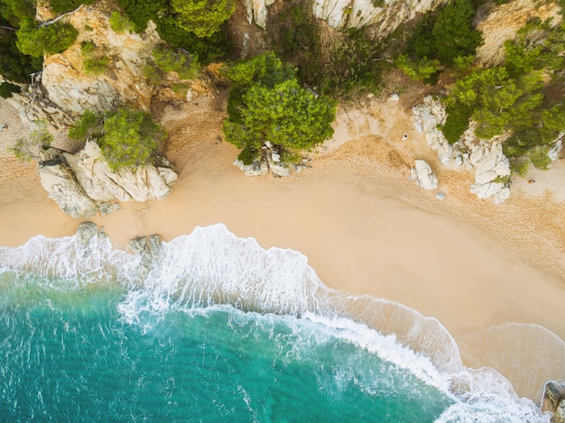 Playa llena de rocas y olas en españa