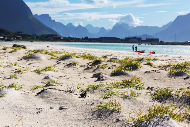 Playa en Lofoten