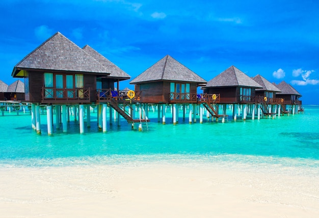 Playa en Maldivas con pocas palmeras y laguna azul