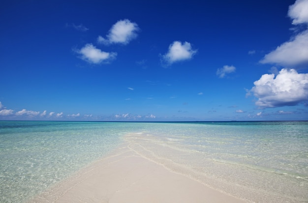 Playa de maldivas