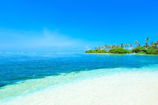 Playa con maldivas