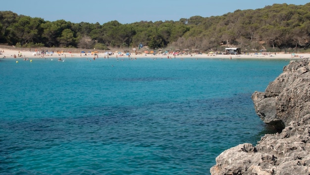 Playa de Mallorca junto a los pinos