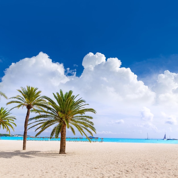 Foto la playa de mallorca platja palmanova en calvia bol ses teules mallorca está ubicada en el centro de mallorca.