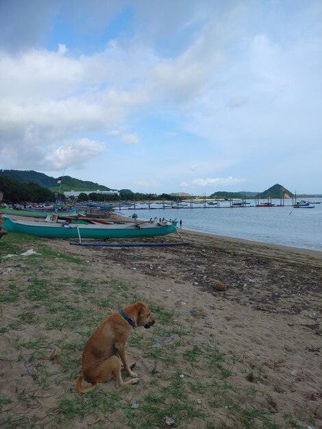 Foto la playa mandalika