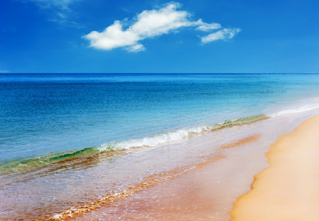 Playa con mar azul y arena blanca en cielo azul