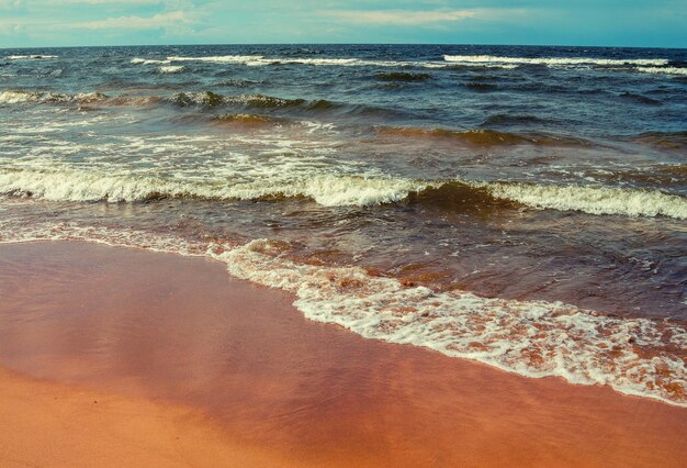 playa del mar Báltico