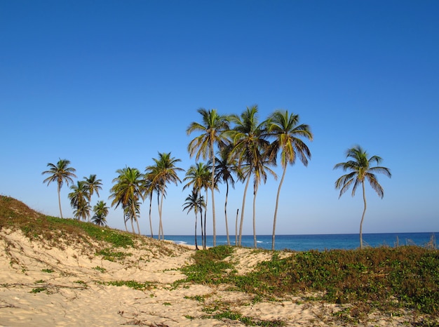 La playa del mar Caribe en La Habana, Cuba