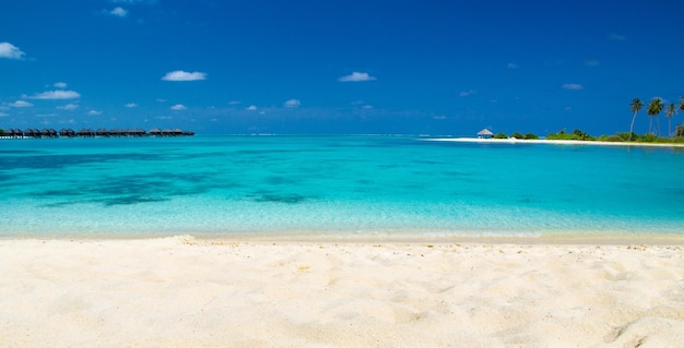 Playa mar caribe paisaje tropical