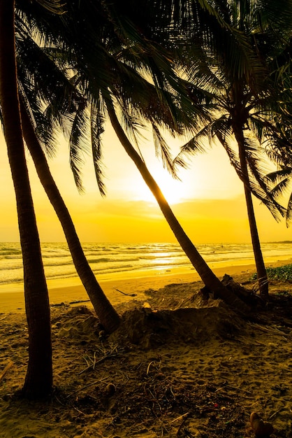 Playa de mar con palmera de coco al atardecer