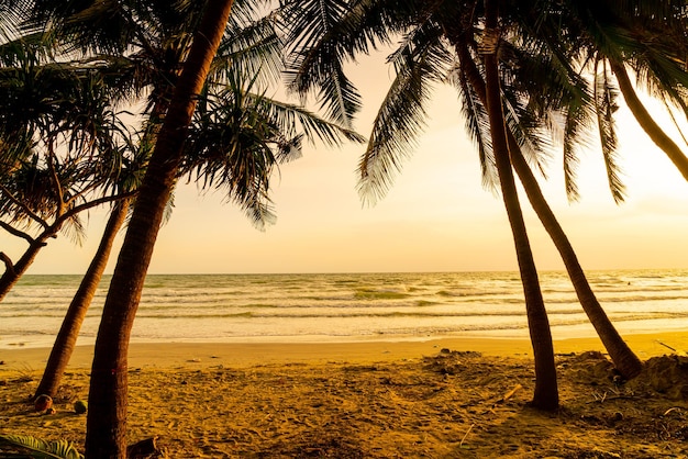 Playa de mar con palmera de coco al atardecer