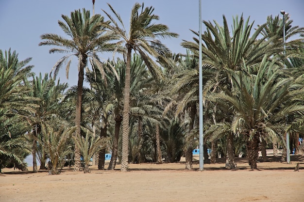 La playa del mar Rojo en Arabia Saudita