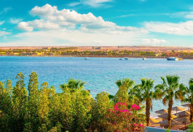 Playa del mar rojo