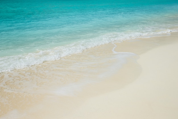 Playa y mar tropical. fondo de la naturaleza