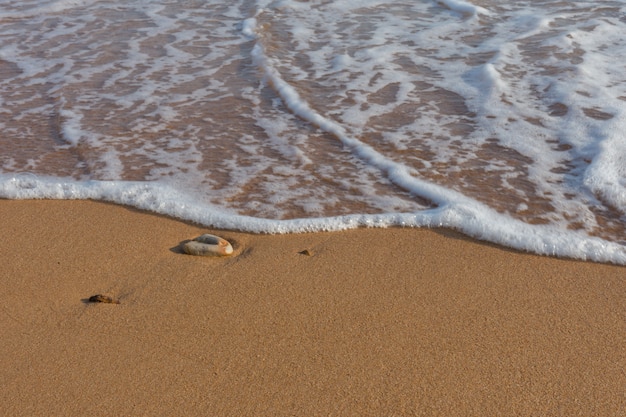 Playa y mar tropical con ola blanca