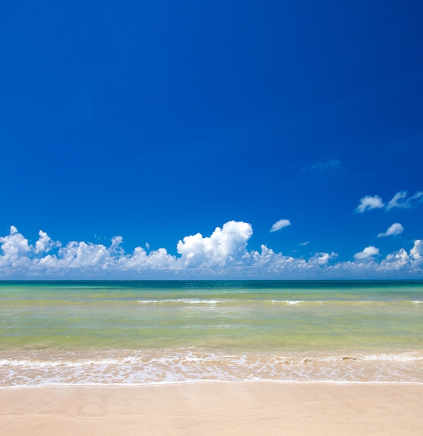 Playa y mar tropical