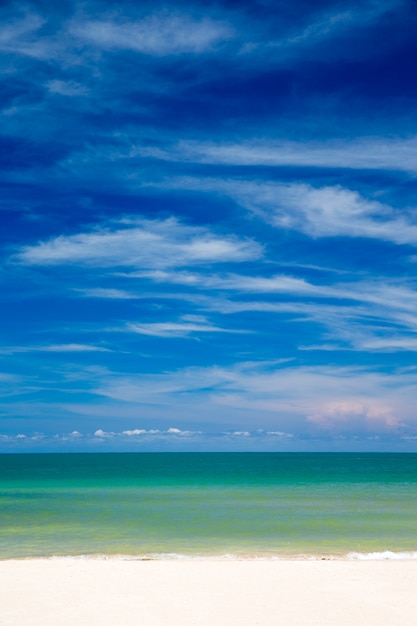 Playa y mar tropical