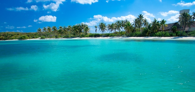 Playa y mar tropical