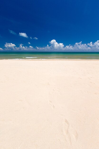 Playa y mar tropical