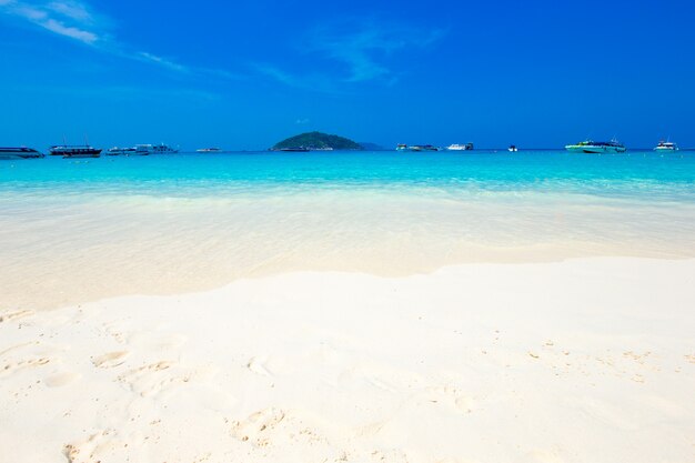 Playa y mar tropical