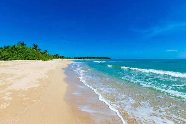 La playa y el mar tropical