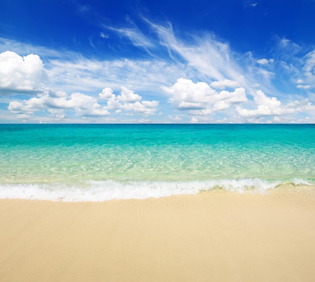 La playa y el mar tropical