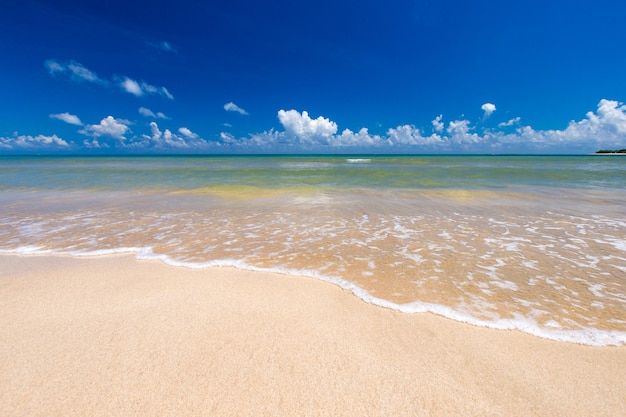 La playa y el mar tropical