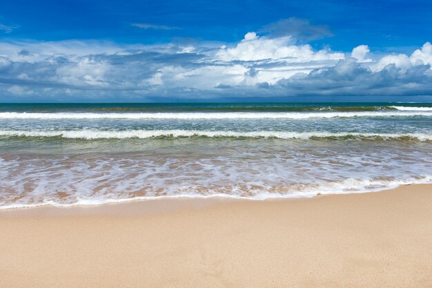 Playa y mar tropical