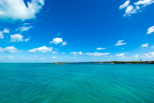 Playa y mar tropical