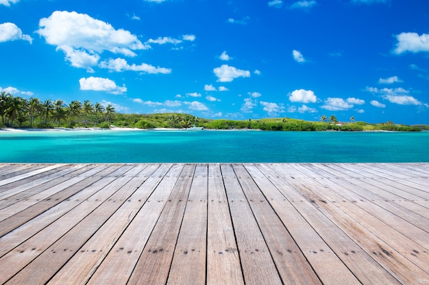 Playa y mar tropical